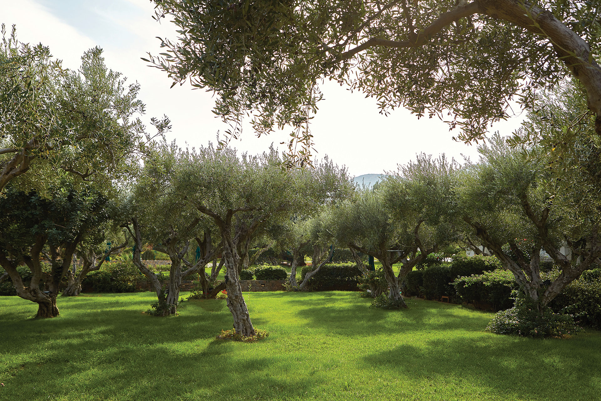 Elounda Beach Sustainability D1C0150 1