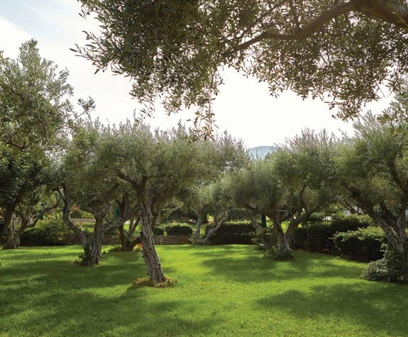 Elounda Beach Sustainability D1C0150 1