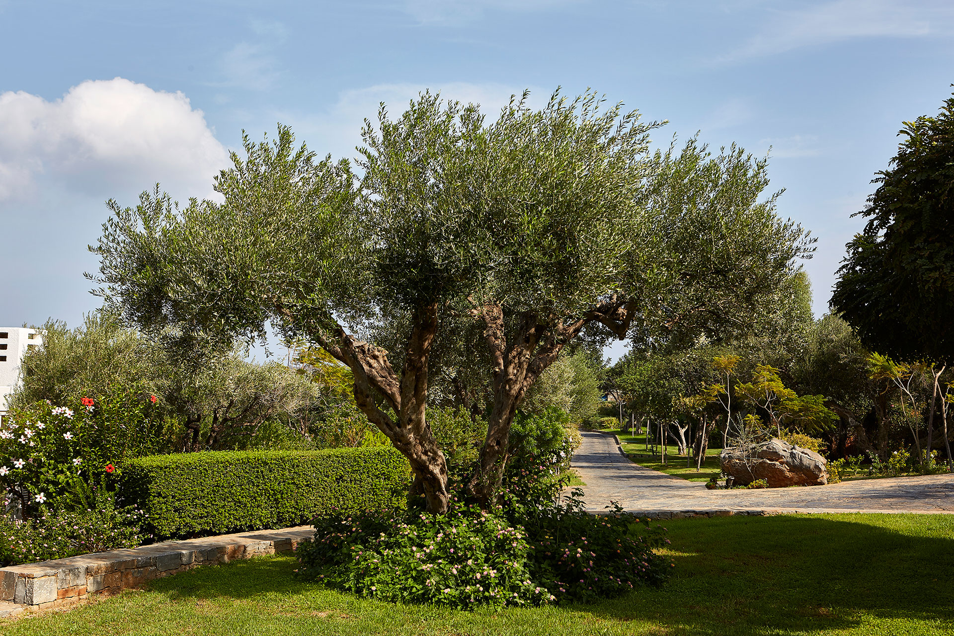 Elounda Beach Sustainability D1C0110