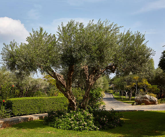 Elounda Beach Sustainability D1C0110